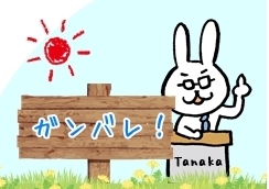 うさぎのTANA 